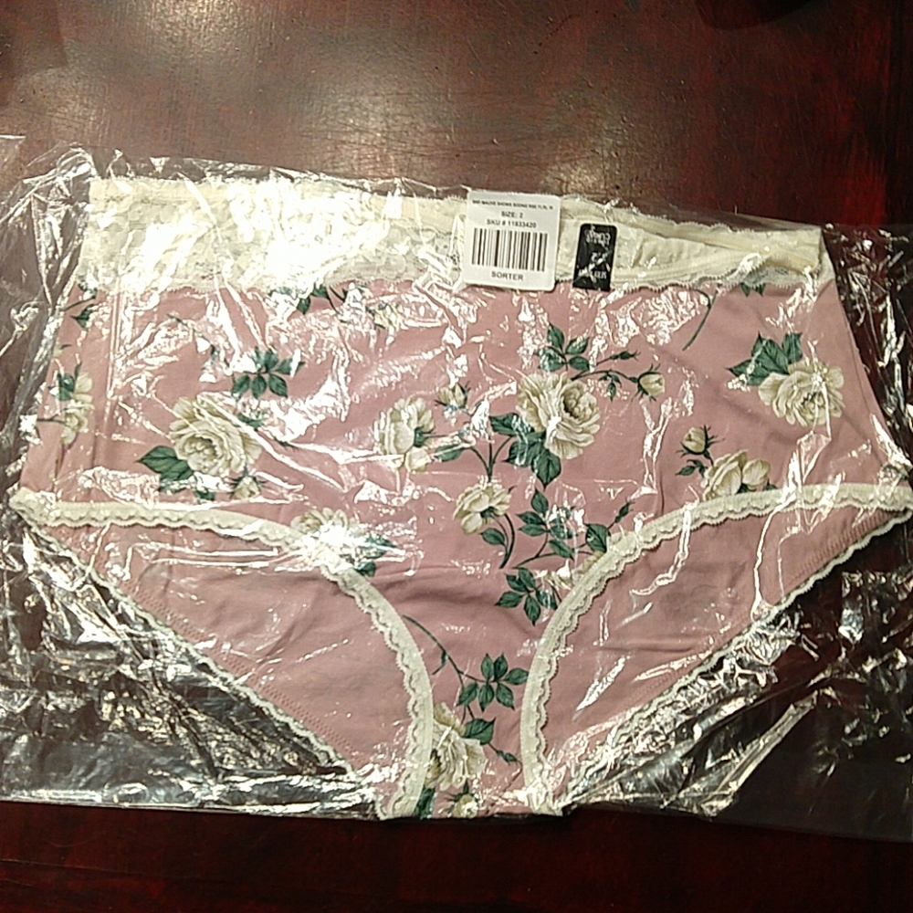 Torrid, size 2 NWT mauve and lace briefs - Picture 2 of 8